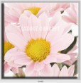 /album/photo-gallery-canvas-uri/decoratiuni-de-perete-canvas-lc-0449-jpg/